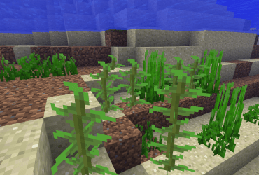 How to make Kelp Minecraft